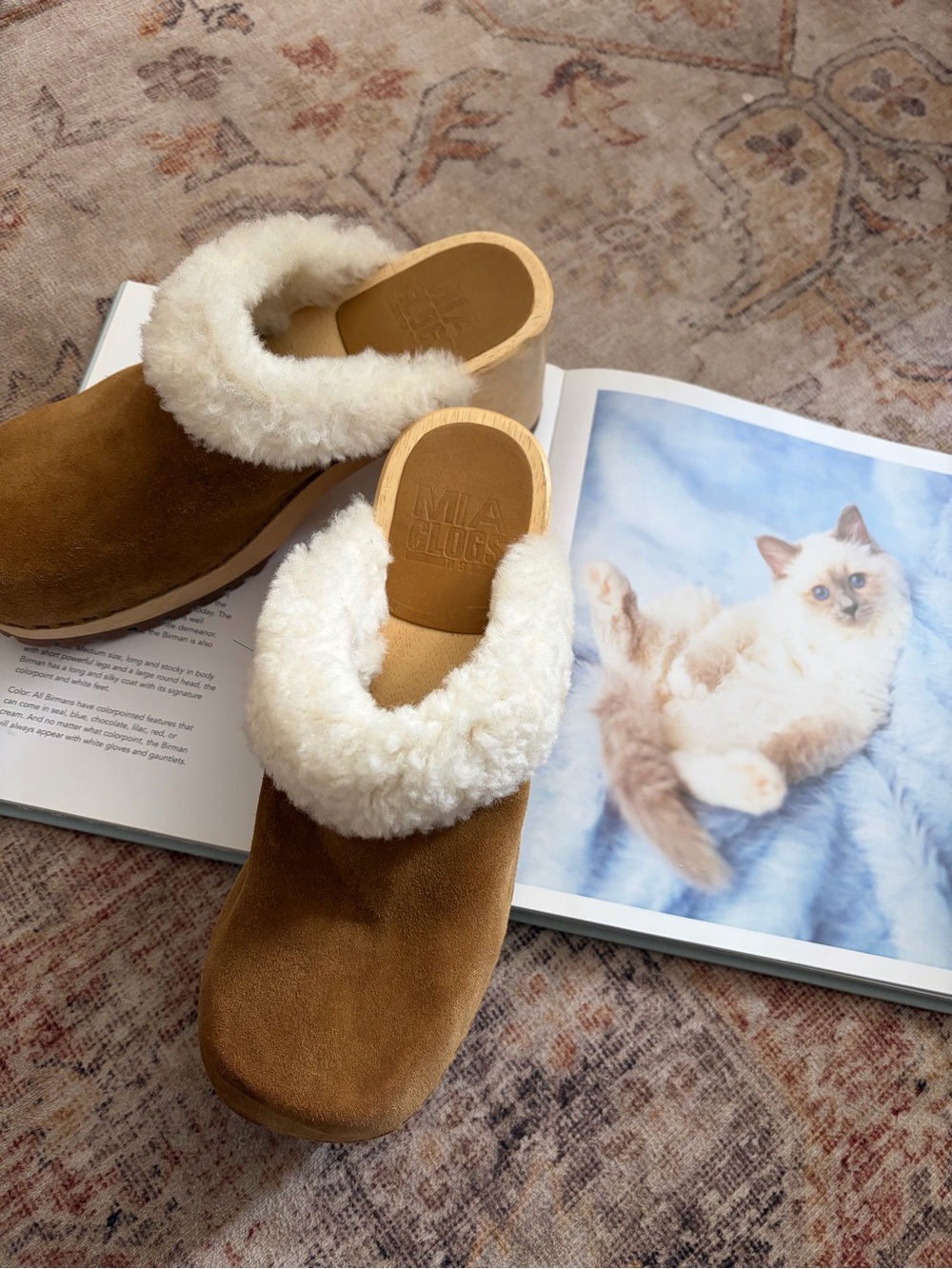 Shearling-Trim Suede clogs